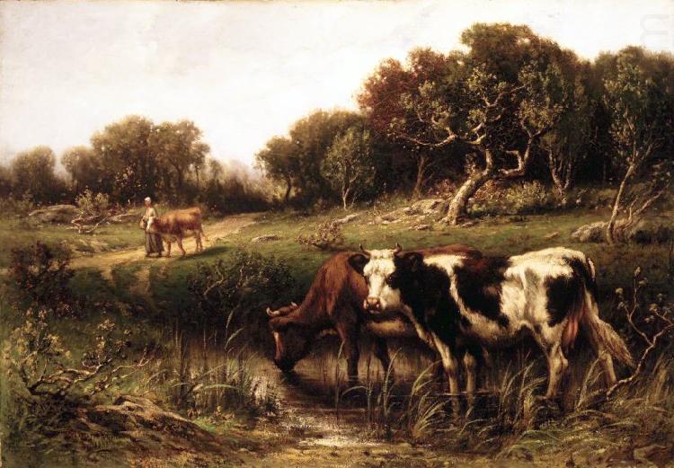 unknow artist Cattle in a Pool oil painting picture